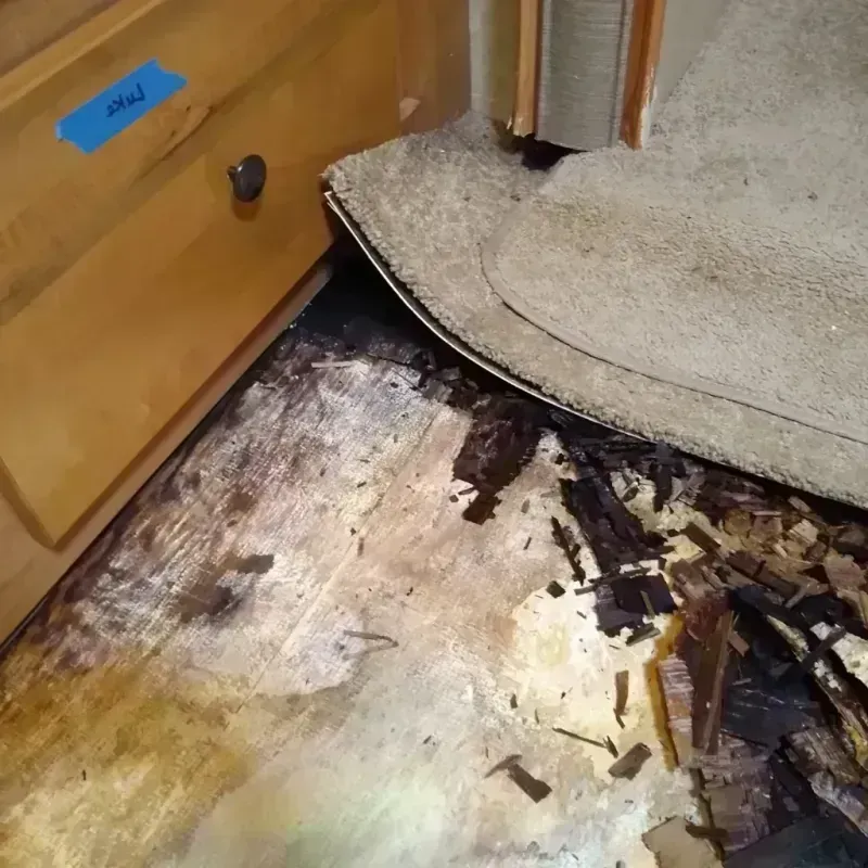 Wood Floor Water Damage in Medina, MN